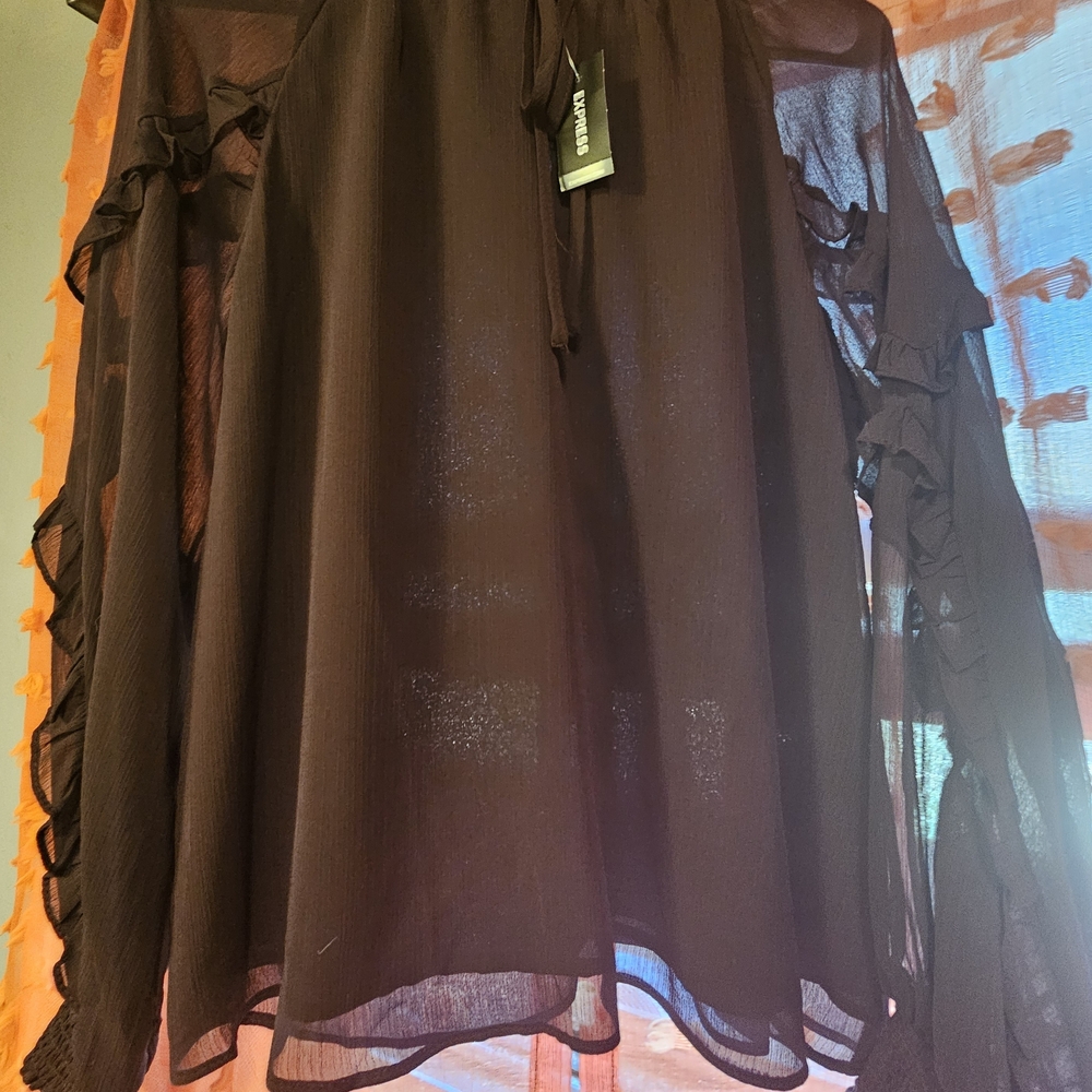 Express Wine Sheer Blouse
